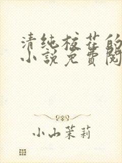 清纯校花的秘密小说免费阅读