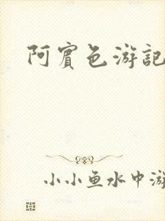 阿宾色游记封面