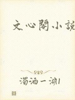 文心阁小说
