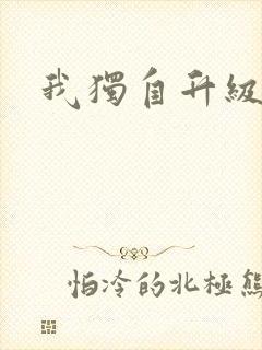 我独自升级小说