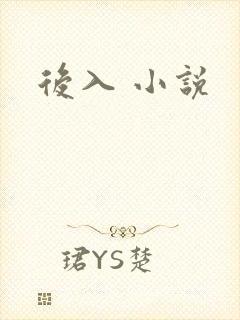 后入 小说