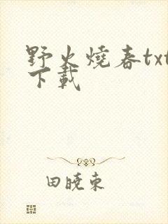 野火烧春txt下载