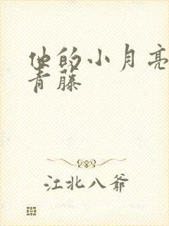 他的小月亮by青藤