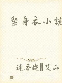 紧身衣小说封面