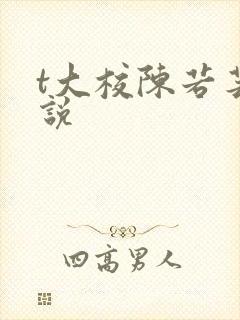 t大校陈若芸小说封面