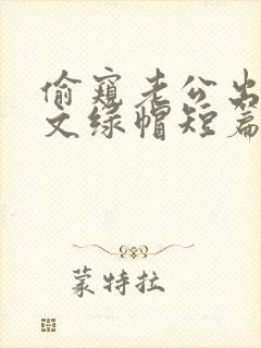 偷窥老公出轨h文绿帽短篇