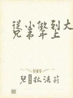 从小做到大骨科兄弟年上