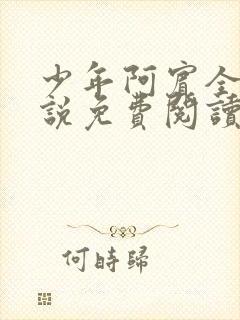 少年阿宾全文小说免费阅读