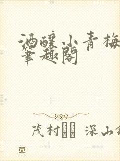 酒酿小青梅po笔趣阁