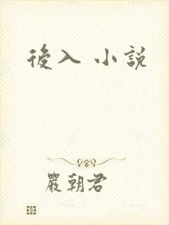 后入 小说