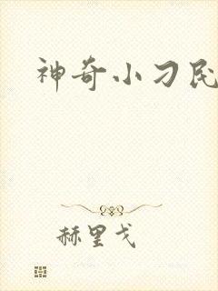 神奇小刁民