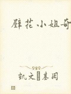 壁花小姐奇遇记