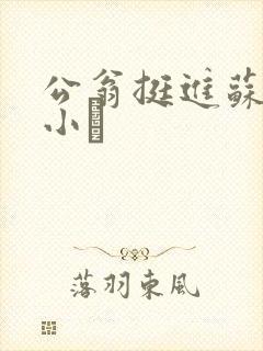 公翁挺进苏玥的小泬