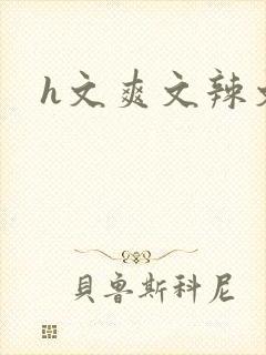 h文爽文辣文