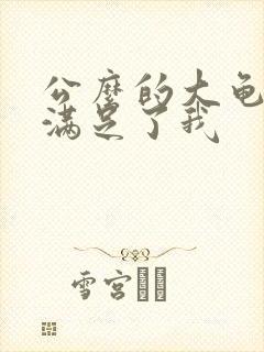 公么的大龟强大满足了我