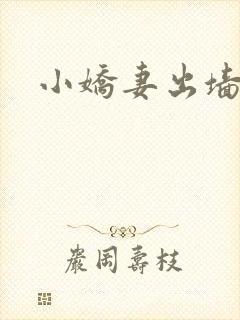 小娇妻出墙记