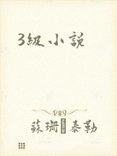 3级小说封面