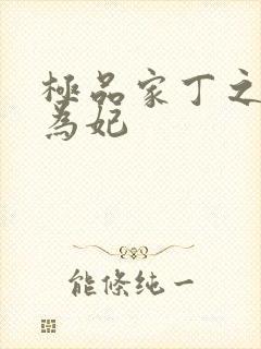 极品家丁之册母为妃