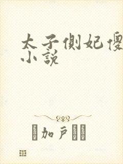 太子侧妃傻乎乎小说封面