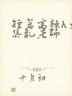 短篇高辣h文合集乱老师封面