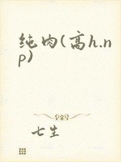 纯肉(高h.np)