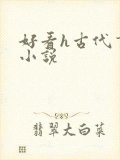 好看h古代言情小说封面