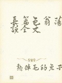 长篇色翁荡熄小说全文封面