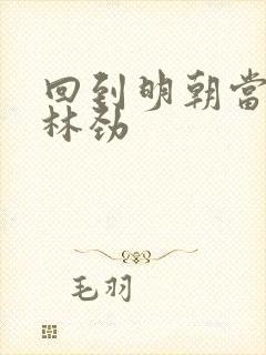 回到明朝当王爷林劲