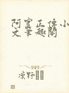 阿宾正传小说全文笔趣阁