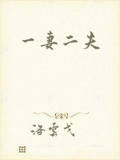 一妻二夫