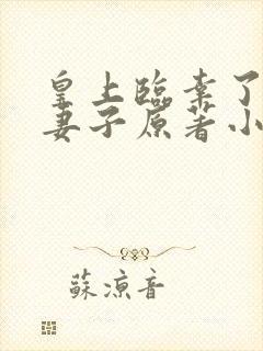 皇上临幸了将军妻子原著小说叫什么