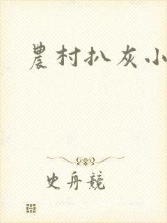 农村扒灰小说封面