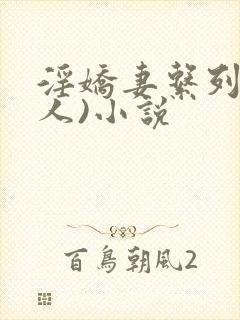 淫娇妻系列(多人)小说