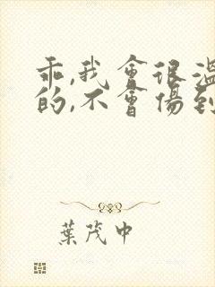 乖,我会很温柔的,不会伤到你小说封面