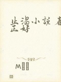 止渴小说 春光正好