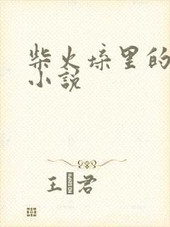 柴火垛里的疯狂小说