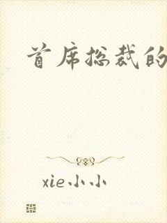 首席总裁的逃妻