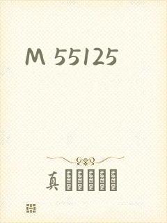 M 55125封面