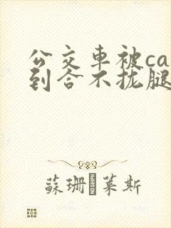 公交车被cao到合不拢腿视频