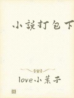 小说打包下载封面