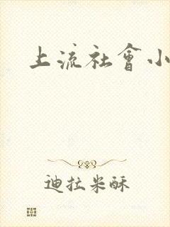 上流社会小说封面