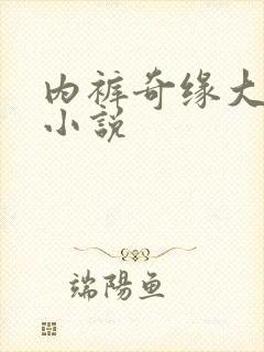 内裤奇缘大团结小说