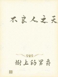 不良人之天罡传