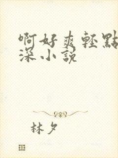 啊好爽轻点嗯插深小说