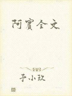 阿宾全文