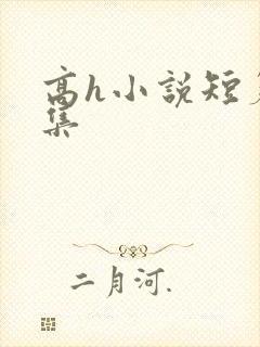 高h小说短篇合集