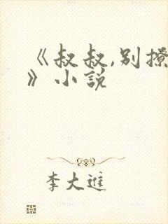 《叔叔,别撩我》小说封面