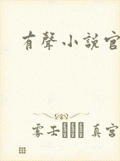 有声小说官途封面