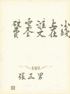 破云淮上小说免费全文在线