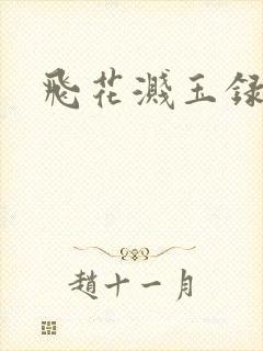 飞花溅玉录